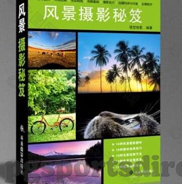 对意大利联赛足球比分-意大利联赛风云，比分背后的战术博弈与激情碰撞