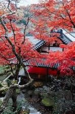 欧冠足球比分下载-深度解析，欧冠足球比分下载全攻略——从安全渠道到使用技巧一网打尽